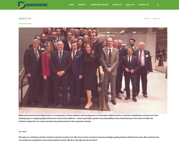 dijkenwerk header image