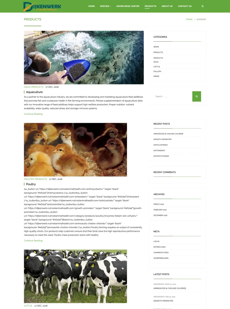 dijkenwerk project 1 page